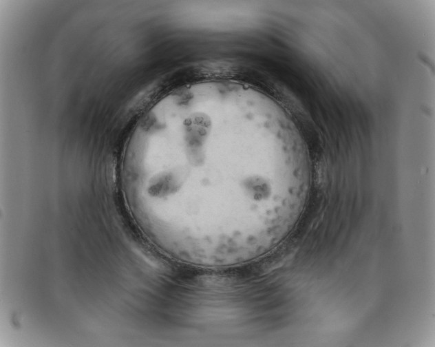 X0000097490733200803141956