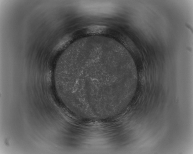 X0000097490735200803141956