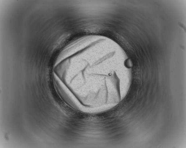 X0000097490738200803141956