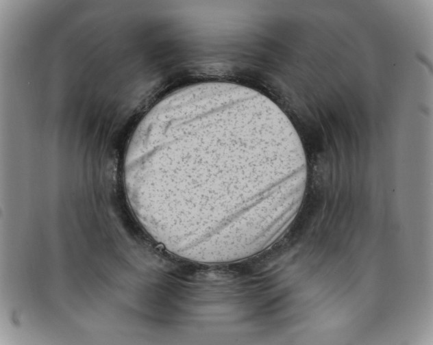 X0000097490739200803141956