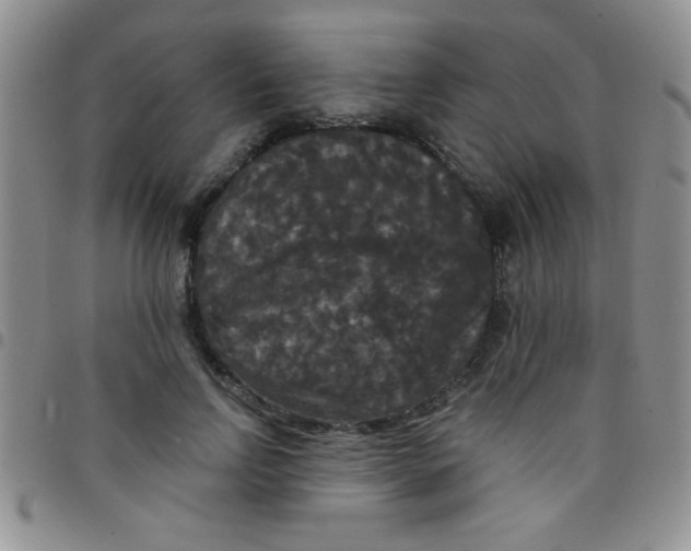 X0000097490742200803141956