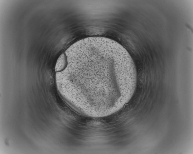 X0000097490743200803141956