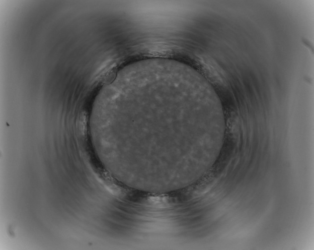 X0000097490744200803141956