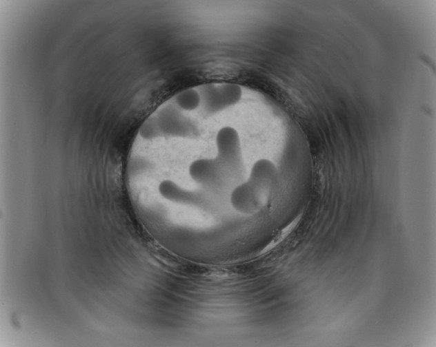 X0000097490745200803141956