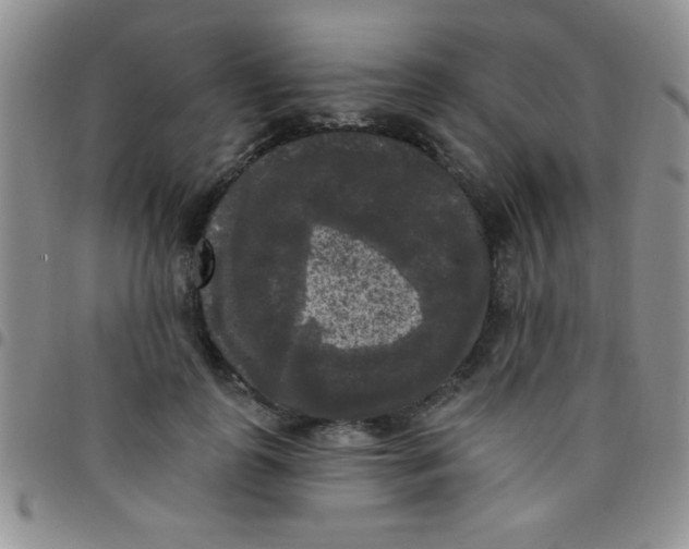 X0000097490747200803141956