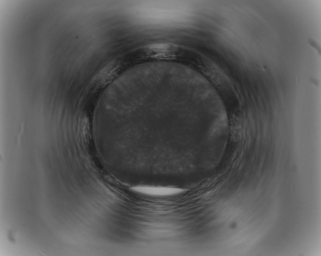 X0000097490748200803141956