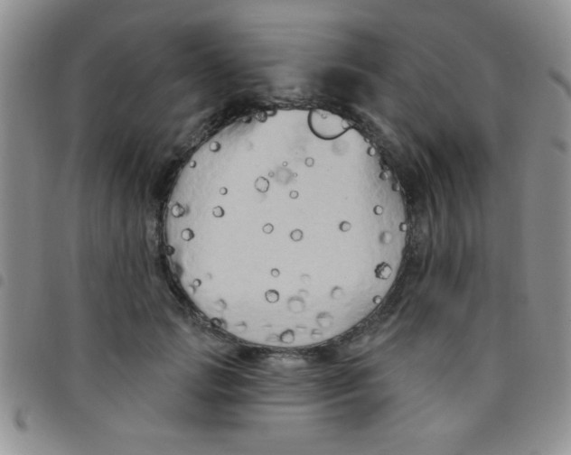 X0000097490749200803141956