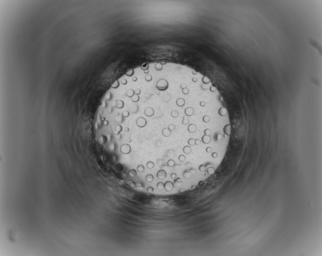 X0000097490753200803141957