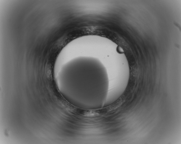 X0000097490754200803141957