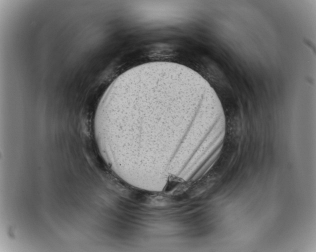 X0000097490755200803141957