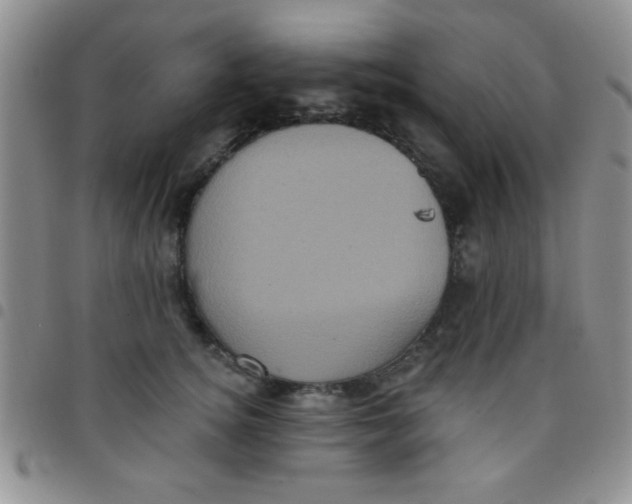 X0000097490756200803141957