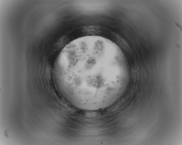 X0000097490757200803141957