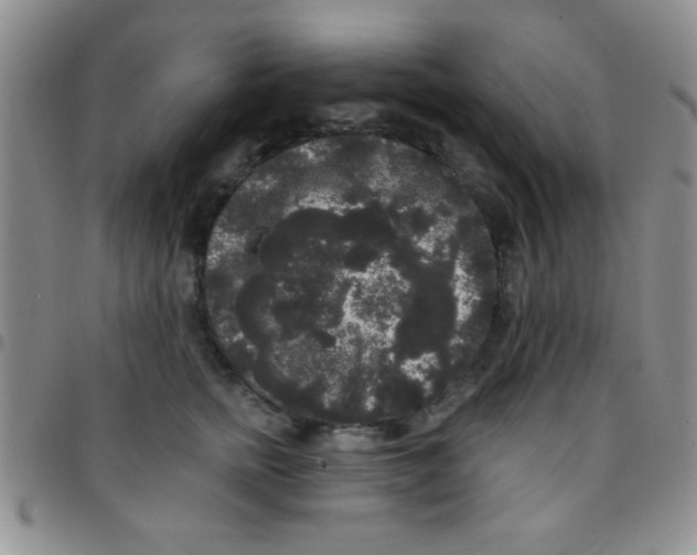 X0000097490758200803141957