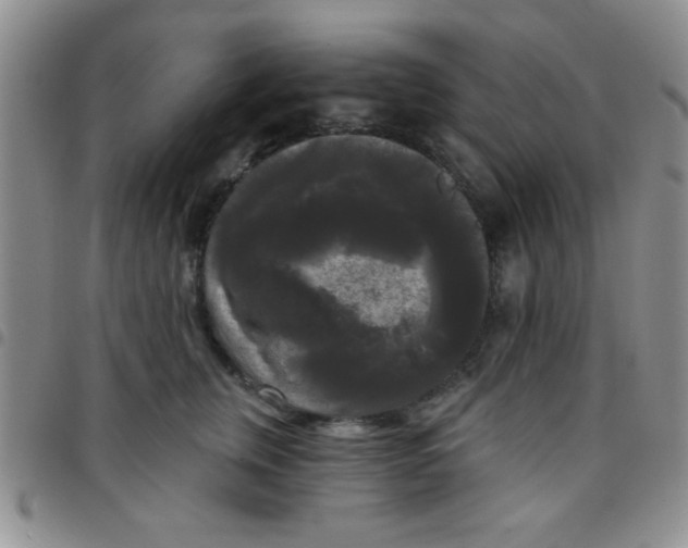 X0000097490759200803141957