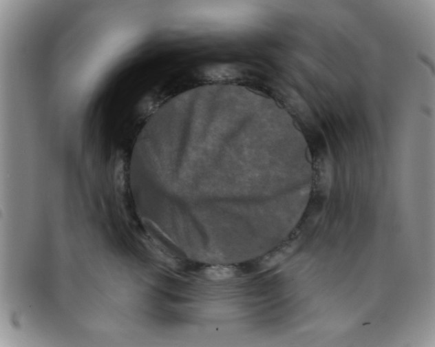 X0000097490762200803141957