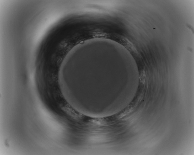 X0000097490763200803141957