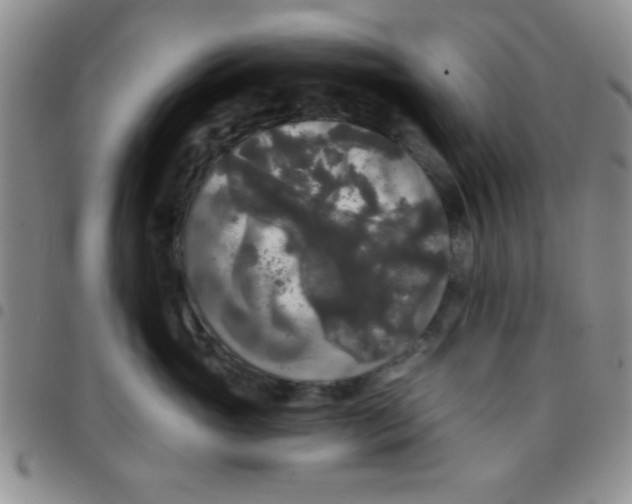 X0000097490765200803141957