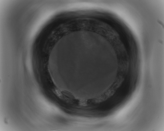 X0000097490766200803141957