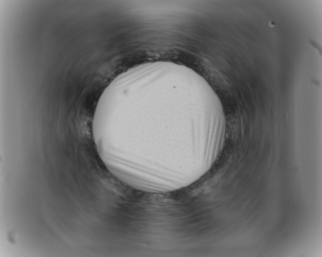 X0000097490770200803141956