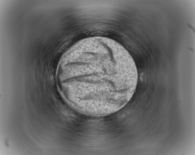 X0000097490771200803141956