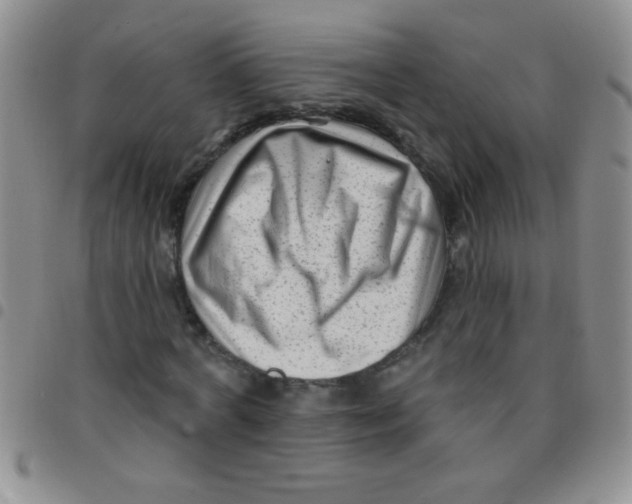 X0000097490772200803141956