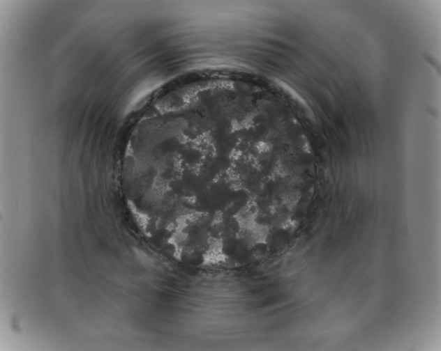 X0000097490775200803141956