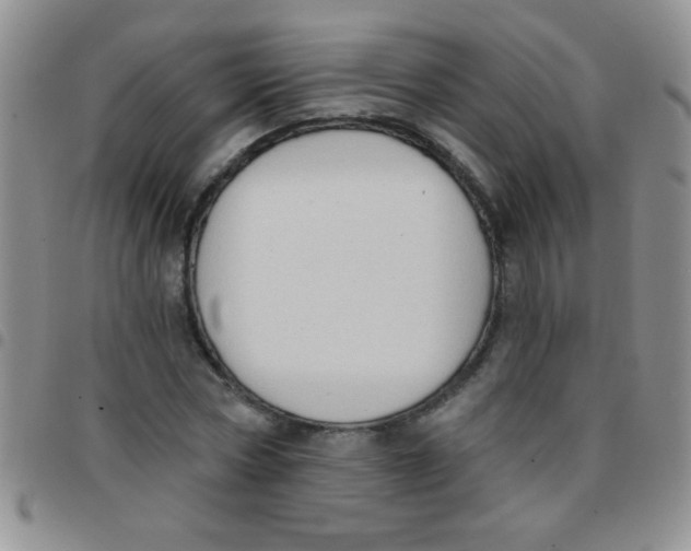 X0000097490778200803141956