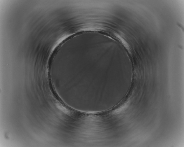 X0000097490779200803141956