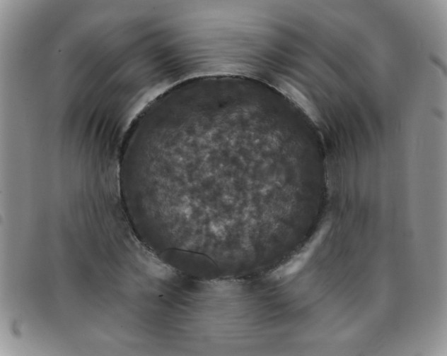 X0000097490781200803141956