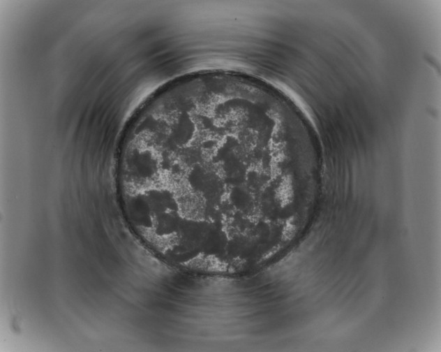 X0000097490783200803141956