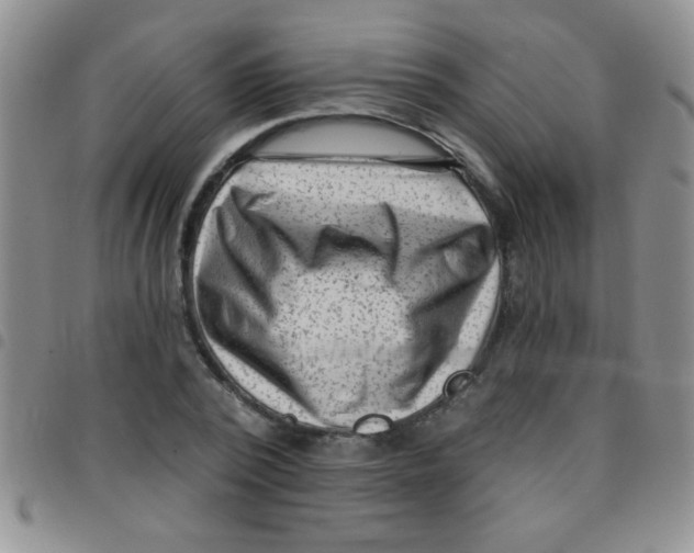 X0000097490784200803141956