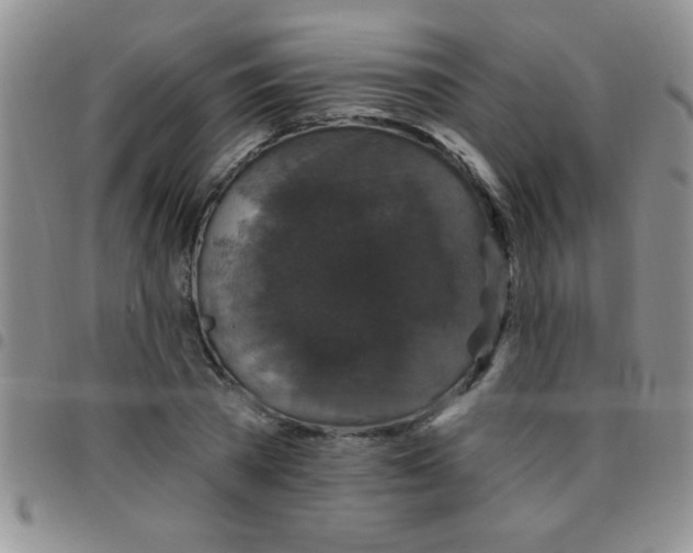 X0000097490785200803141956