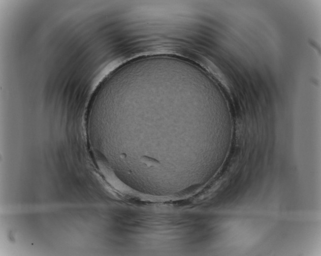 X0000097490789200803141956