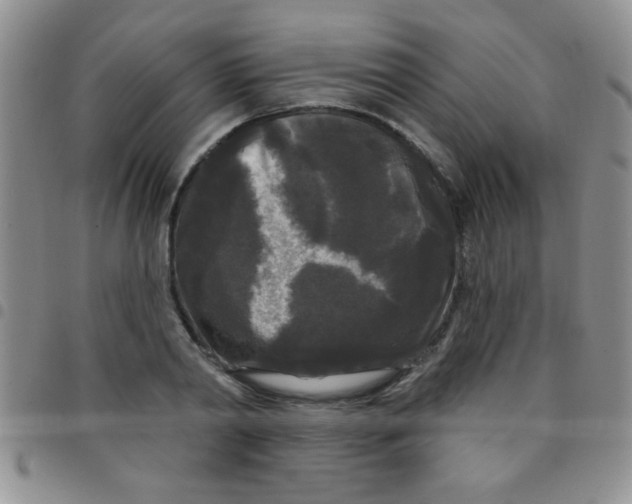 X0000097490790200803141956