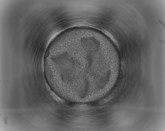 X0000097490791200803141956