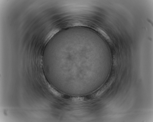 X0000097490793200803141956