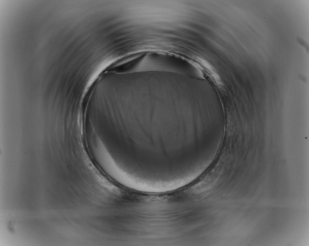 X0000097490796200803141956