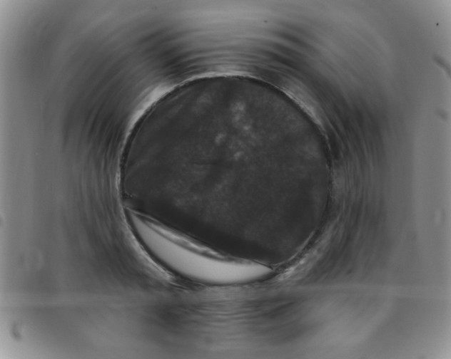 X0000097490797200803141956