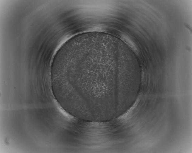 X0000097490800200803141956