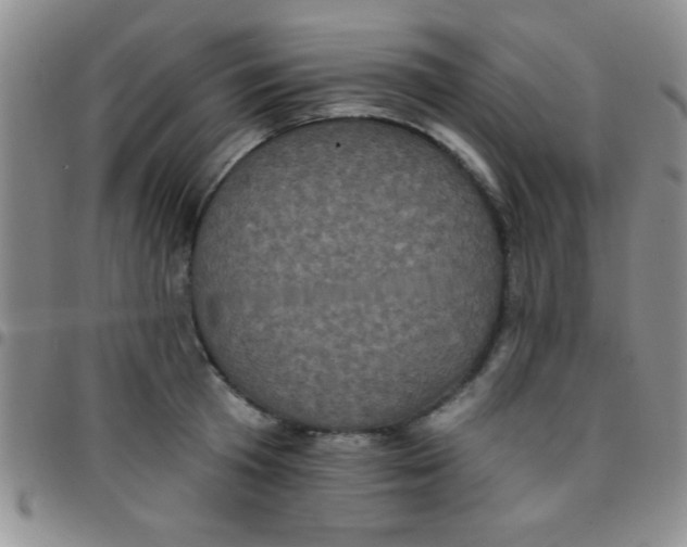 X0000097490801200803141956