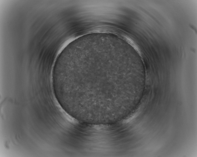 X0000097490803200803141956