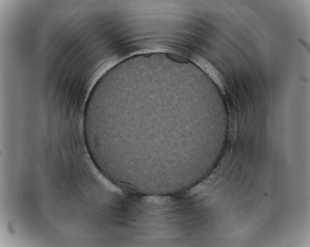 X0000097490805200803141956