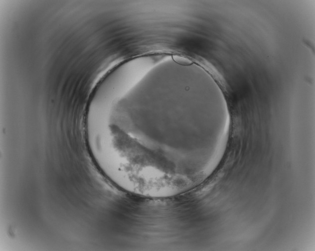 X0000097490806200803141956