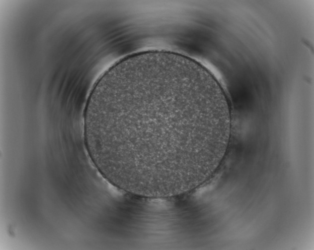 X0000097490807200803141956