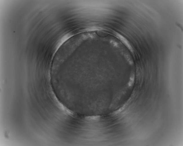 X0000097490810200803141956