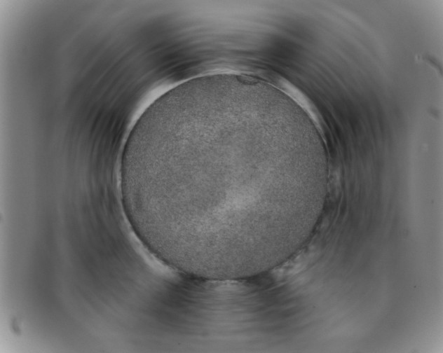 X0000097490811200803141956