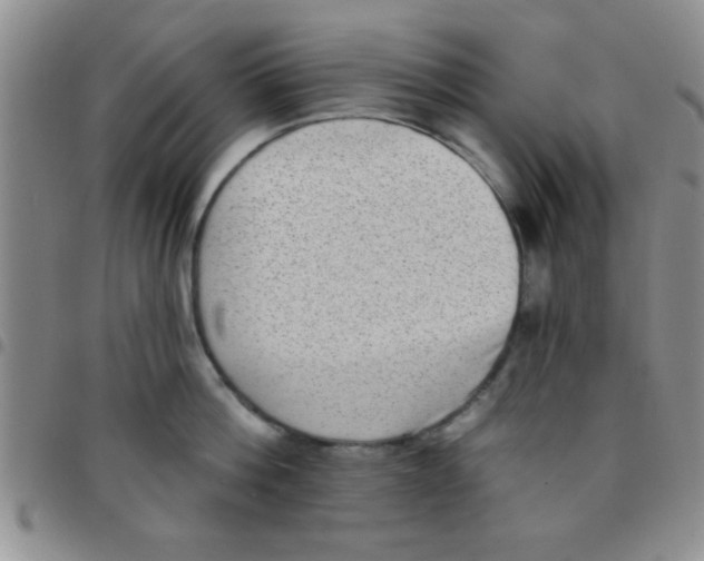 X0000097490812200803141956