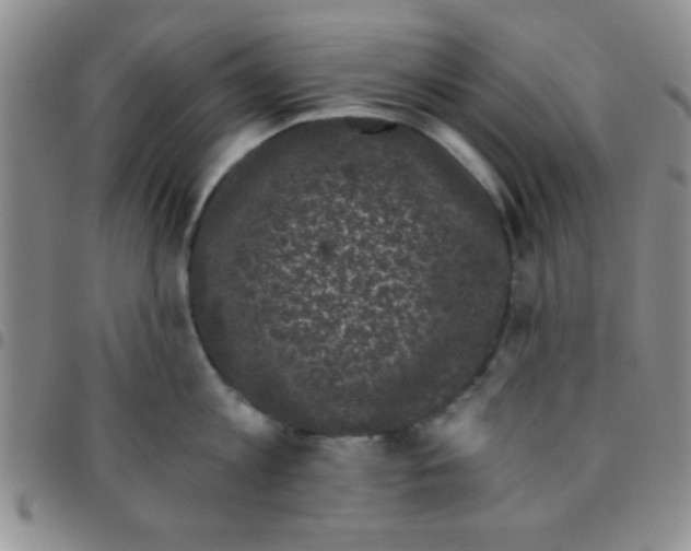 X0000097490813200803141955