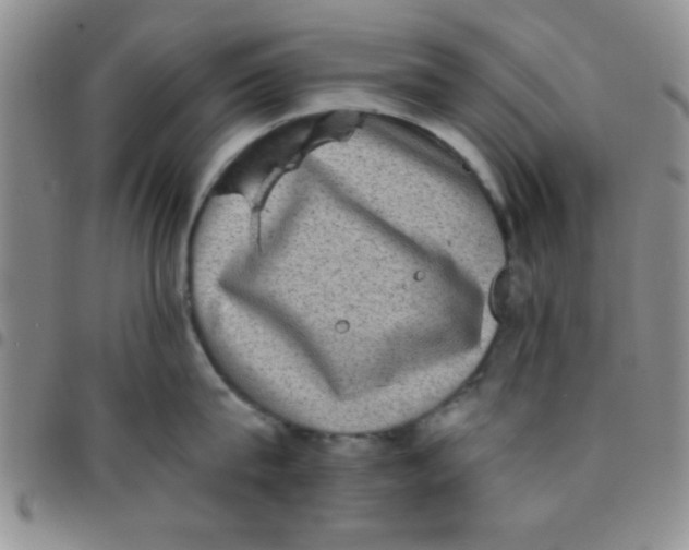 X0000097490815200803141955