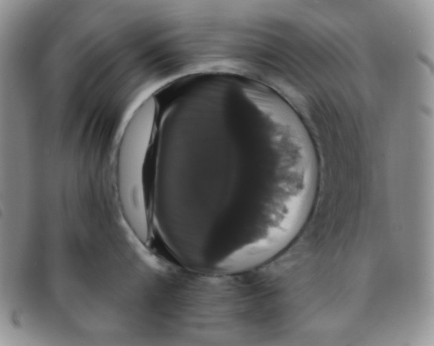 X0000097490816200803141955